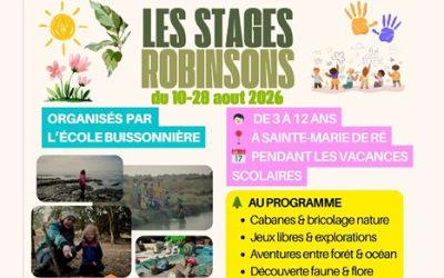 Stages Robinsons : une solution de garde pendant l&rsquo;été