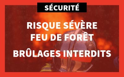 Tous brûlages interdits : risque sévère feu forêt