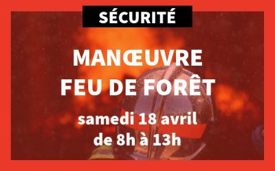 Formation en action : manœuvre feu de forêt 🚒