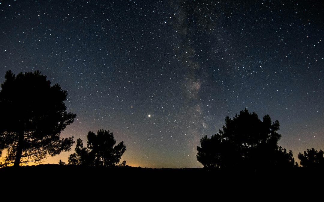 Sortie Nuit des Etoiles