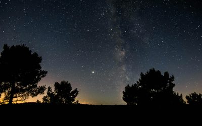Sortie Nuit des Etoiles