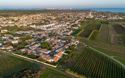 Appel à candidature occupation d’un hangar communal