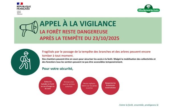 Appel à la vigilance : la forêt reste dangereuse après la tempête