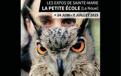Exposition « ESPRIT POP avec Alain Rivière Lecoeur » à la Petite Ecole
