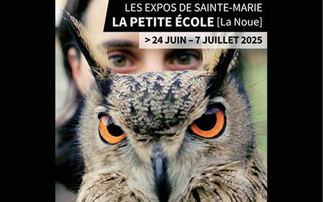 Exposition « ESPRIT POP avec Alain Rivière Lecoeur » à la Petite Ecole