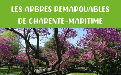 INVENTAIRE DES ARBRES REMARQUABLES EN CHARENTE-MARITIME : le projet continue !