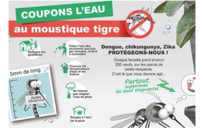 Coupons l’eau aux moustiques tigres !