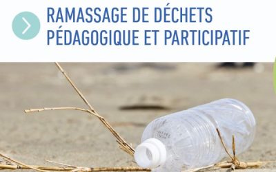 🌊🌞 Mission Plage Propre ! 🌞🌊