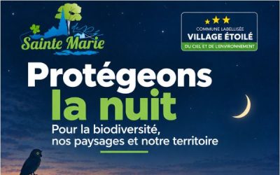 Protégeons la nuit