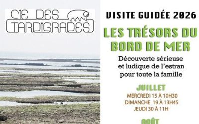 Visite guidée « Les trésors du bord de mer »