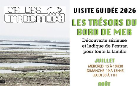 Visite guidée « Les trésors du bord de mer »